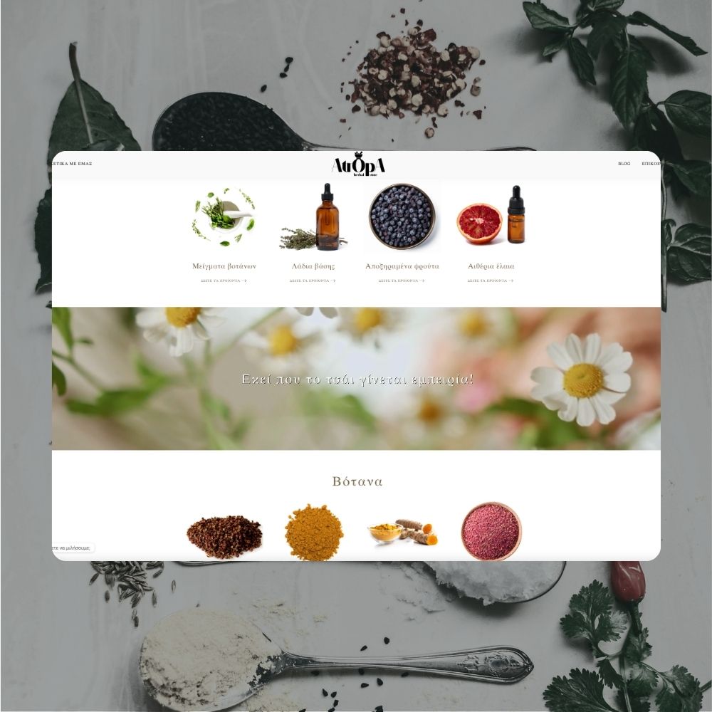 Κατασκευή ιστοσελίδας Δωμάτια Panorama Iraklia